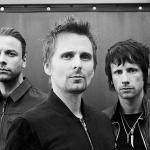 Muse