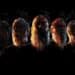 Meshuggah