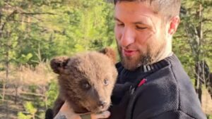 Slaughter To Prevail : Alex Terrible adopte deux oursons en Russie (et s&rsquo;engage à les « soutenir financièrement »)